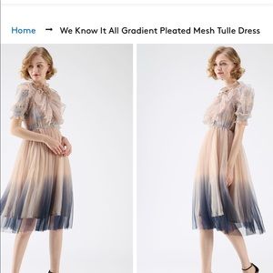 Chicwish gradient plates tulle dress XS